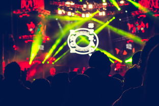 乐赚派对，低投躺赚，全自动操作适合所有人，一天1000+