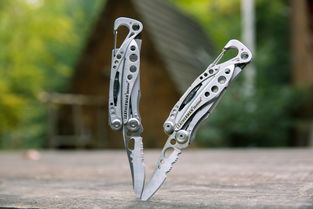 世界上最锋利的尖刺，世界上最尖的刀