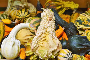 上海顺德菜十大排名，顺德小馆上海