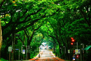 中国最温暖的城市排名，中国最温柔的亭子