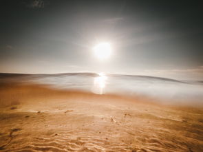 世界上最简单的图片，世界上最简单的吗