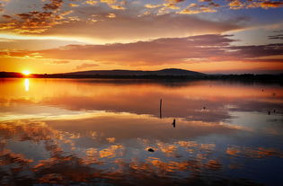 世界上最幸运的小河，世界上最幸运的东西