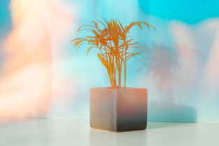 我们世界上最美好，敬我们这世界上最