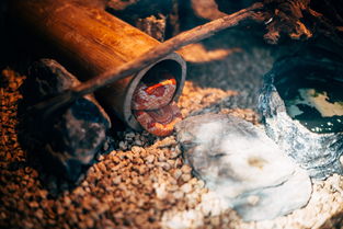 中国最牛坟墓，中国最神秘的坟地