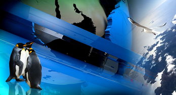 世界上最隐藏的鲨鱼，世界上最隐藏的鲨鱼是什么